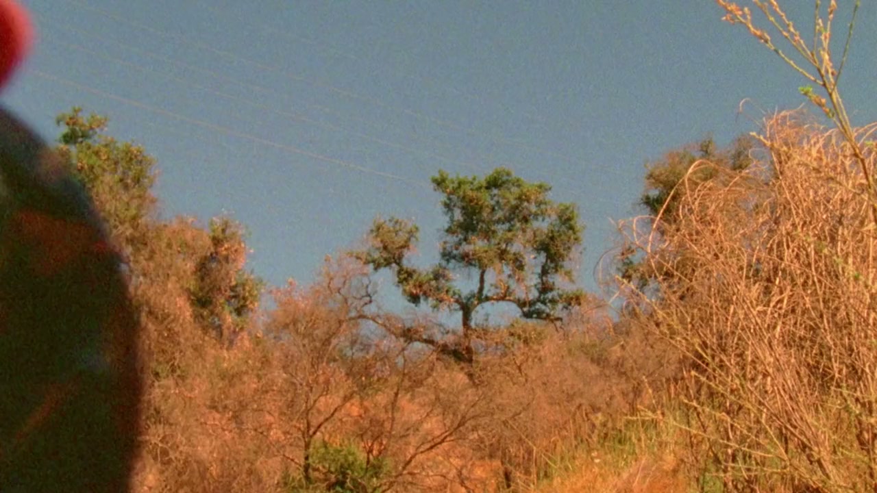 The Male Gaze: Celluloid Dreams screenshot 1