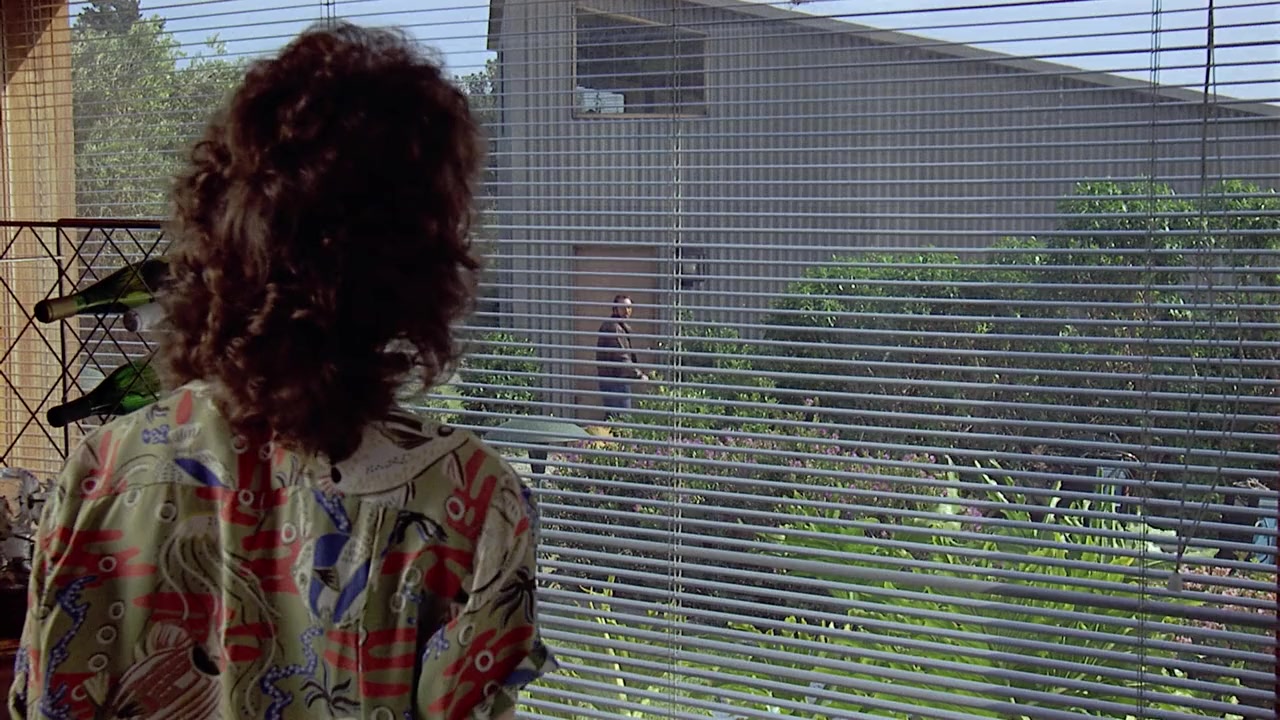 The Man Who Loved Women screenshot 1