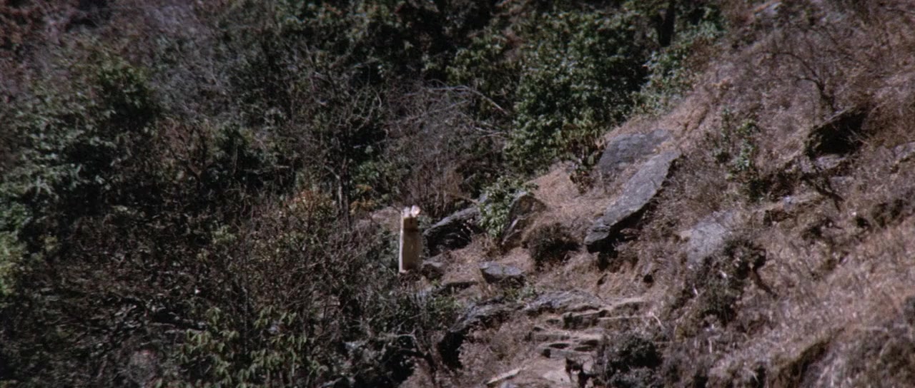 The Man Who Skied Down Everest screenshot 1