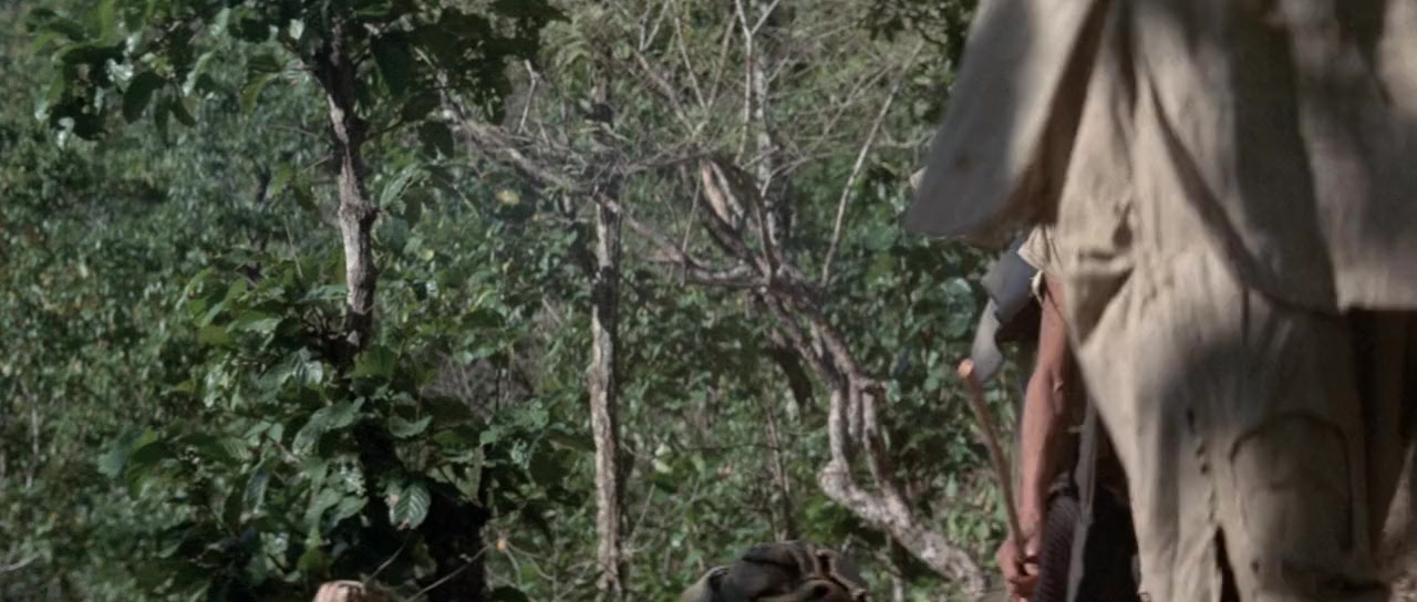 The Man Who Skied Down Everest screenshot 3