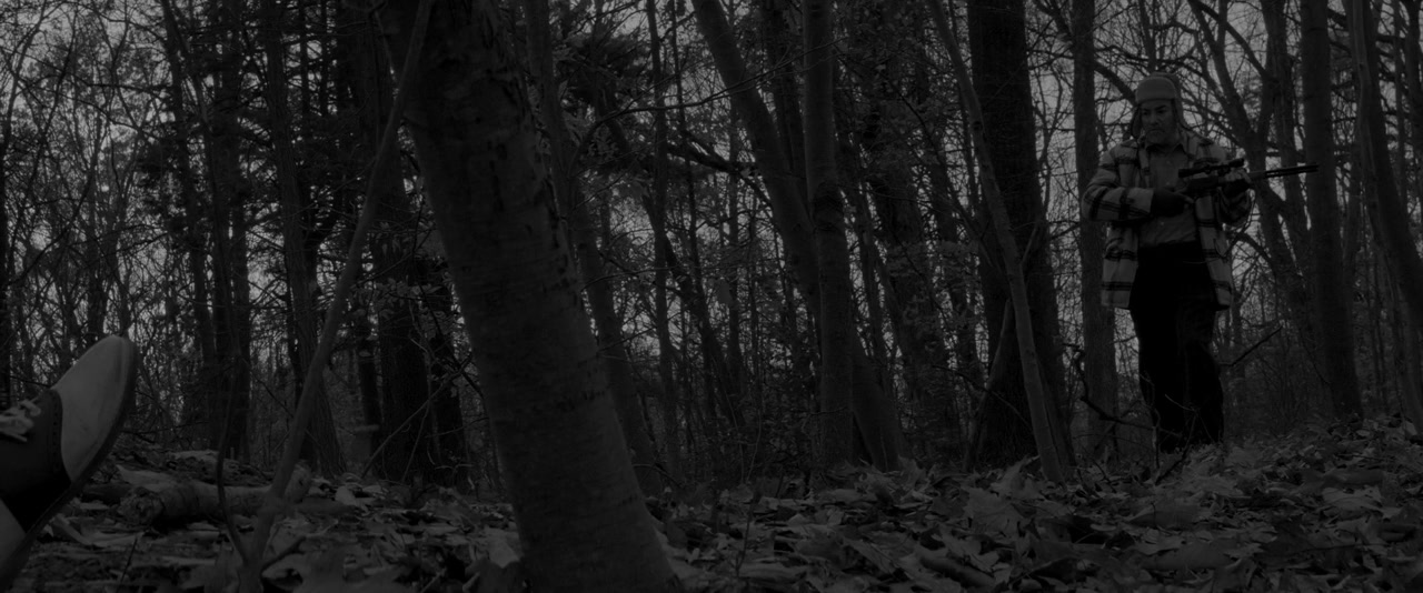 The Man in the Woods screenshot 3