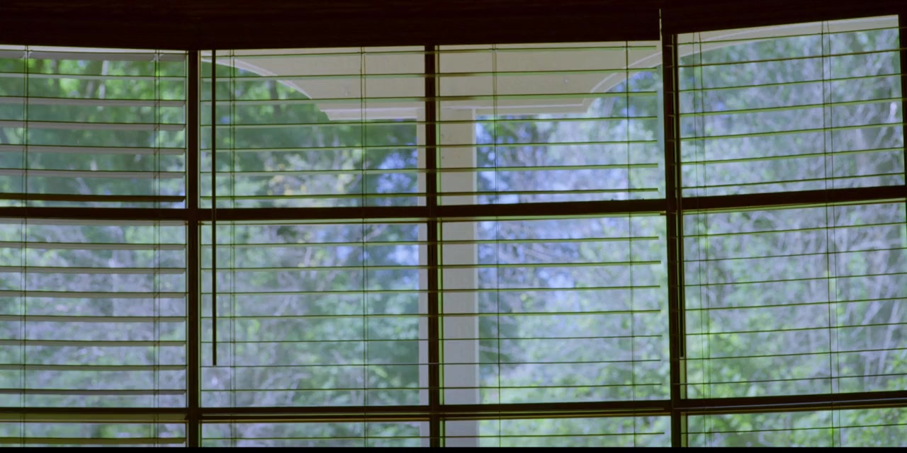 The Muse screenshot 2