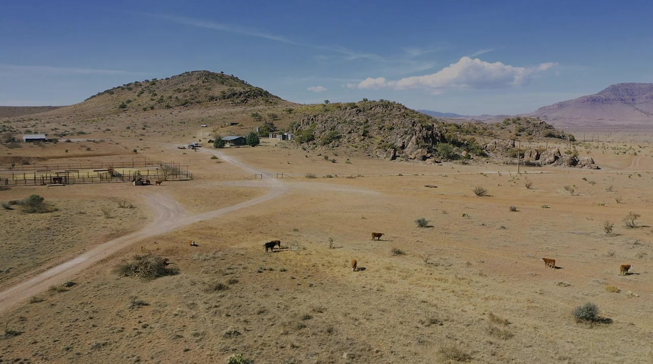 The Marfa Tapes screenshot 2