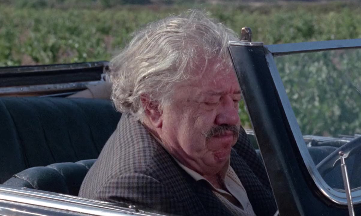 Ce sacré grand-père screenshot 3