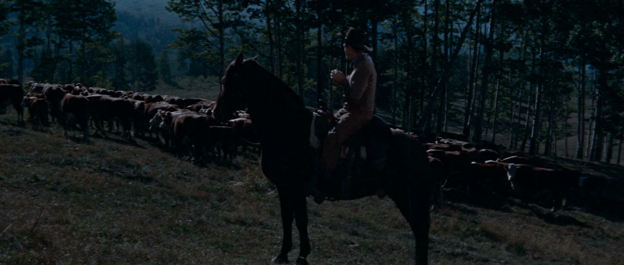 The Maverick Queen screenshot 3