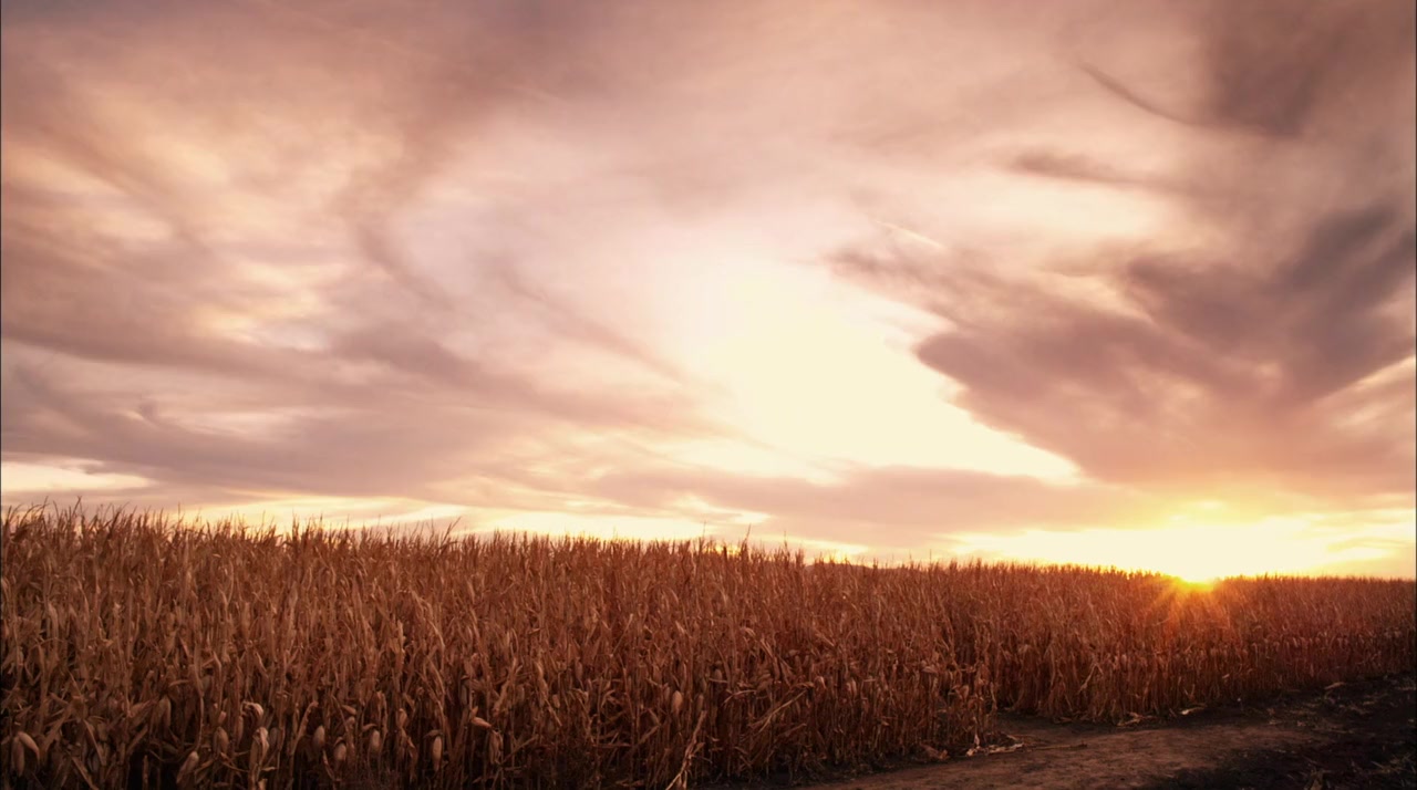 The Maze screenshot 2