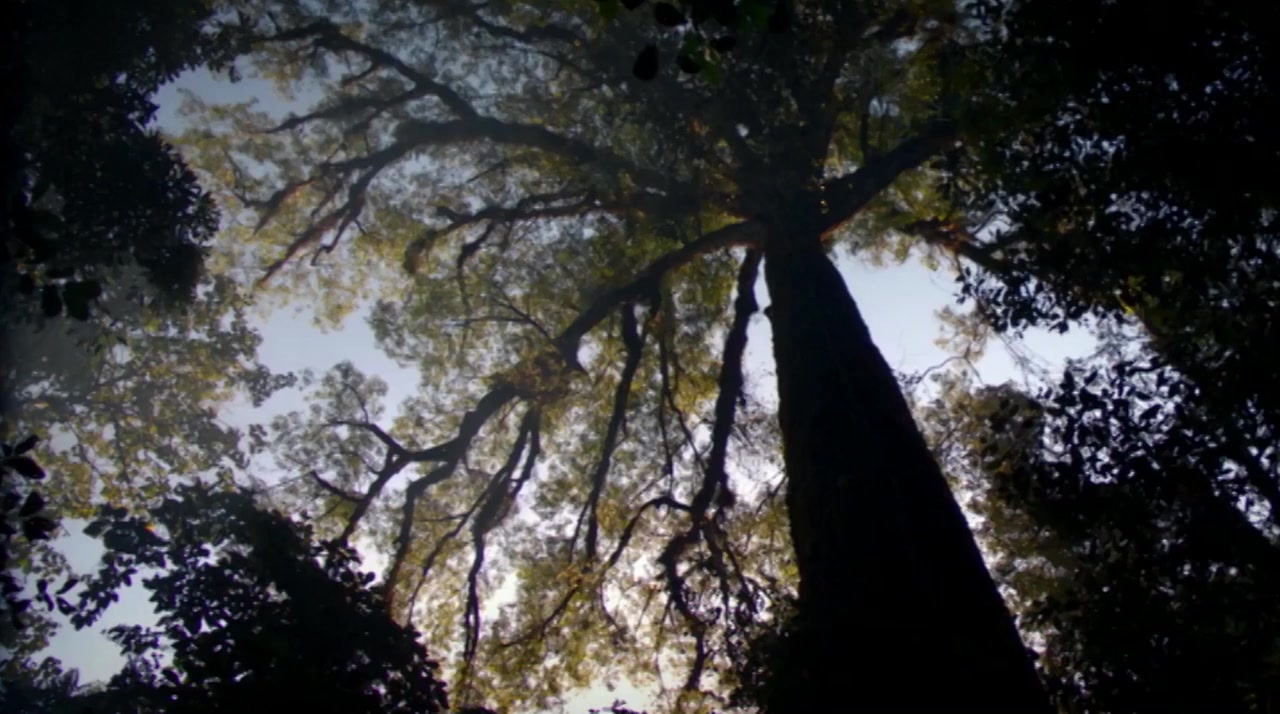 Ruk jung screenshot 1