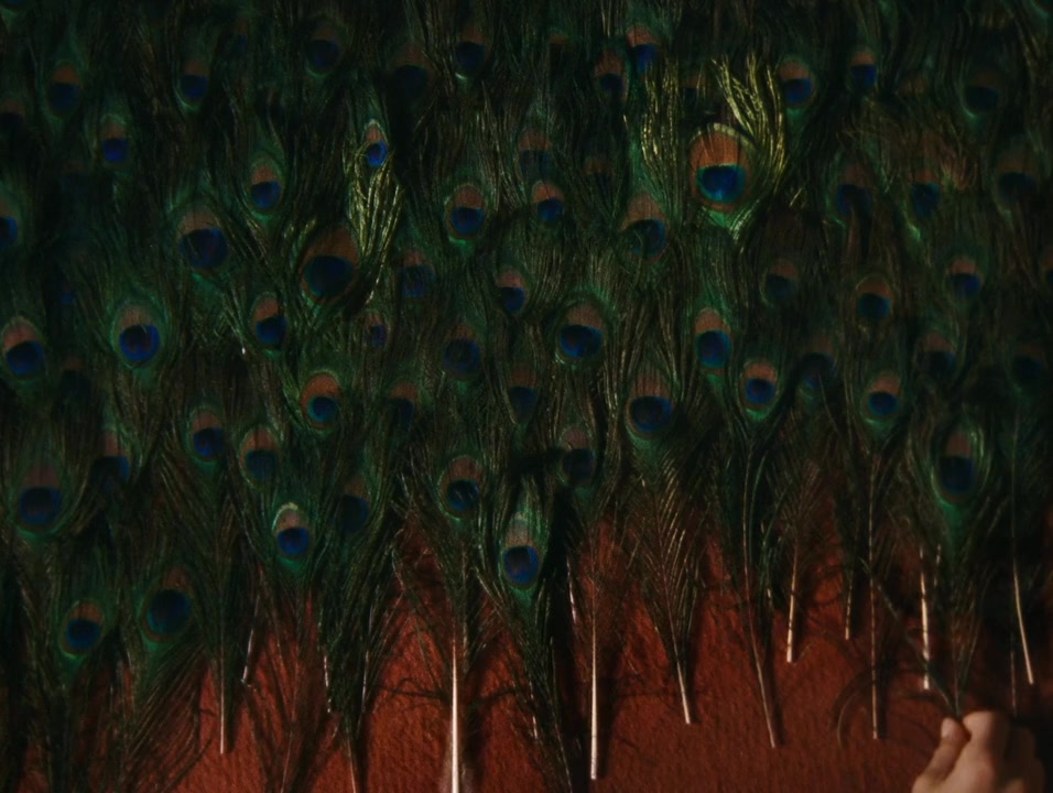 A Metamorfose dos Pássaros screenshot 3