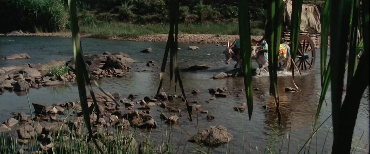 Xing xing wang screenshot 1