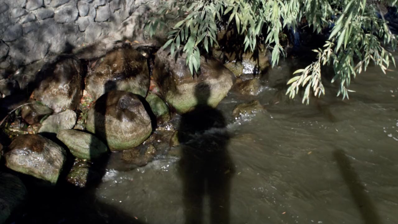 The Midnight Swim screenshot 1