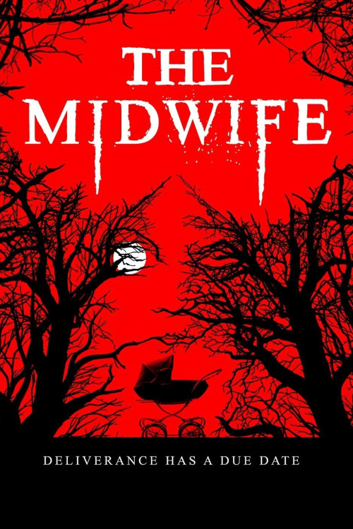 The Midwife (2021) poster