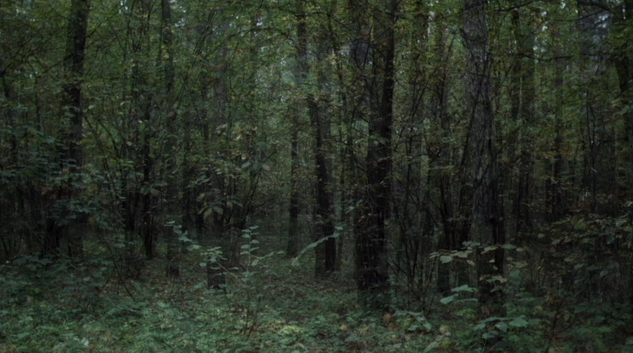 Mlyn i krzyz screenshot 2