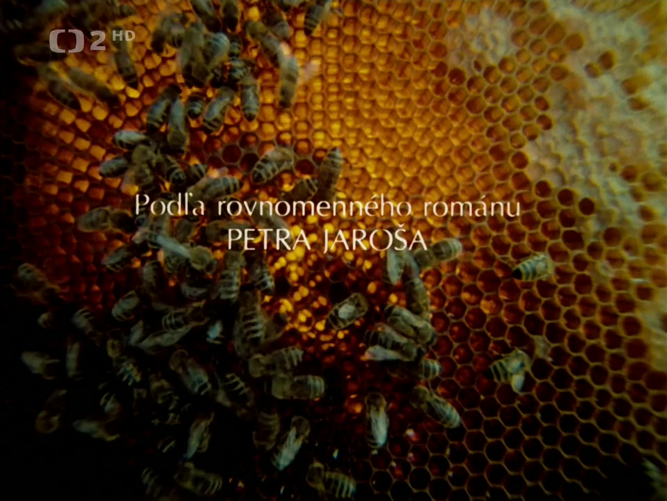 Tisícrocná vcela screenshot 2