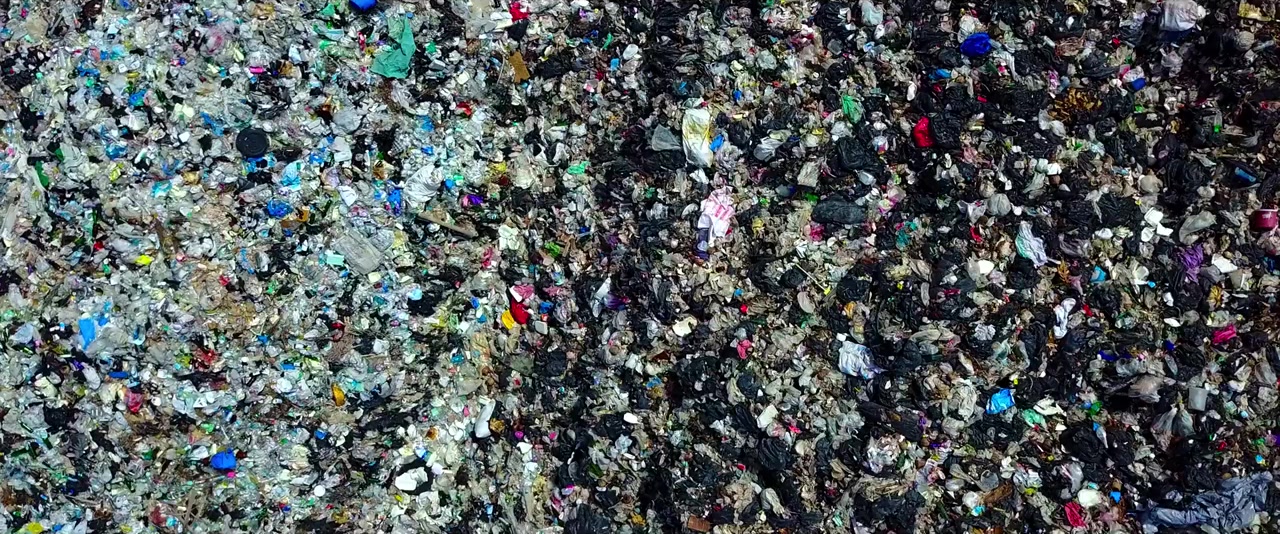 The Minimalists: Less Is Now screenshot 1