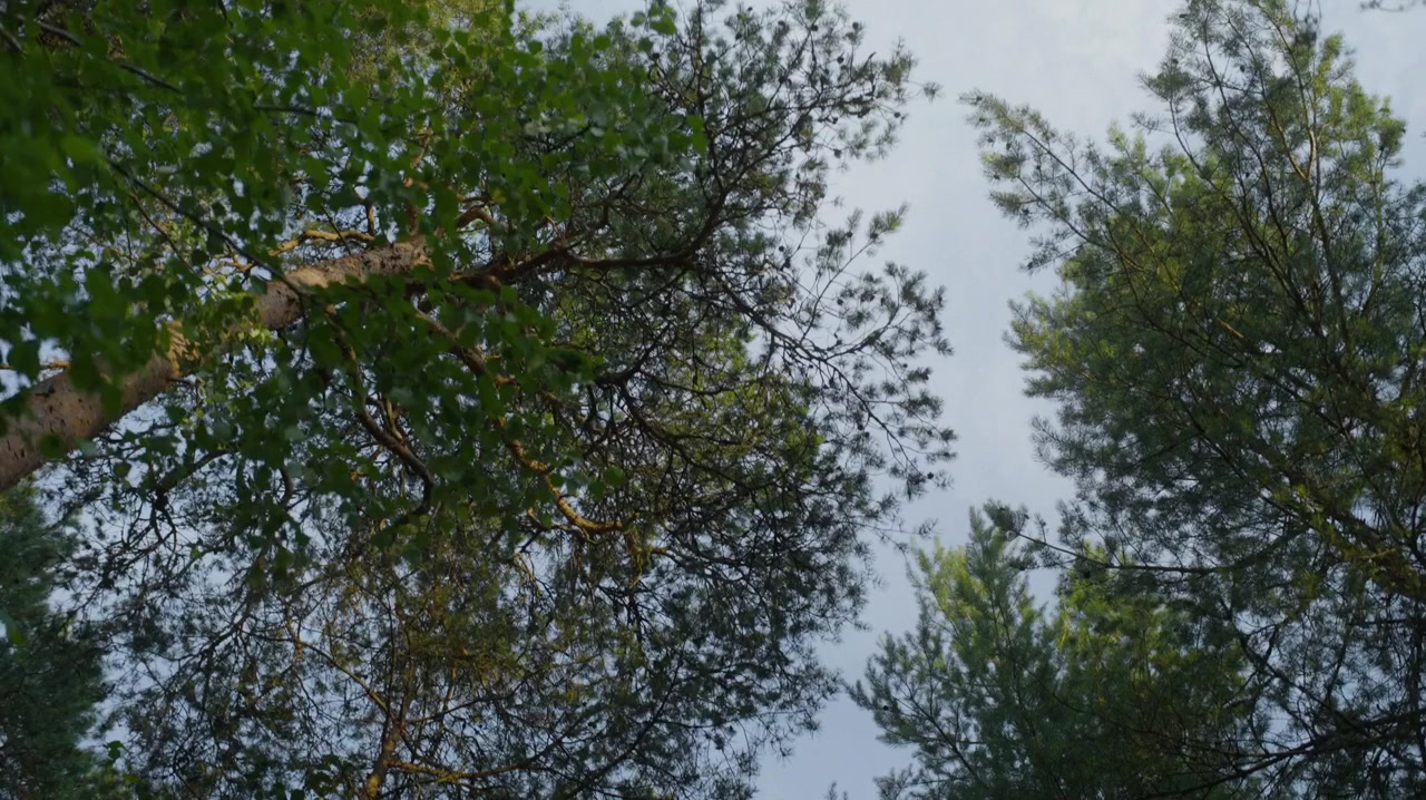 The Mission screenshot 1