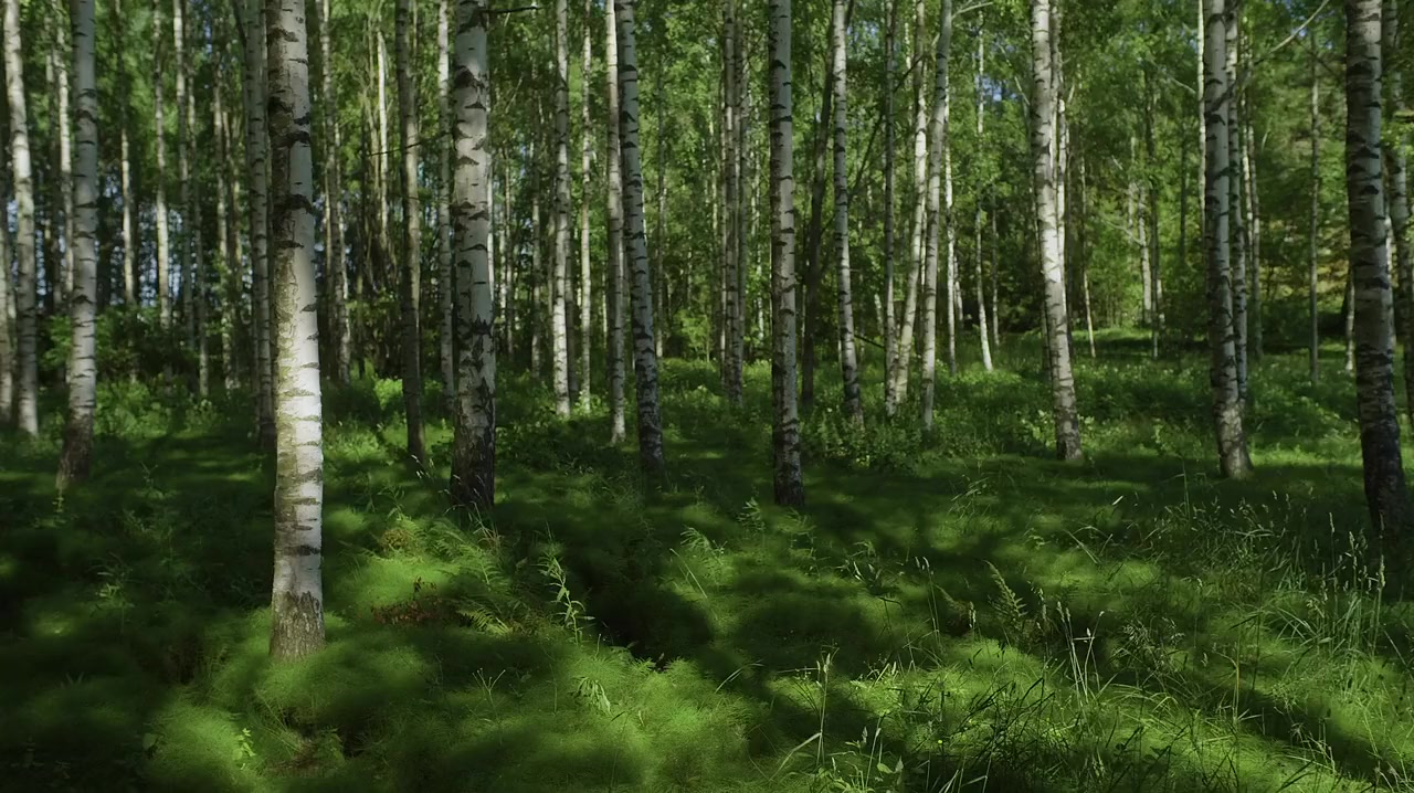 The Mission screenshot 2