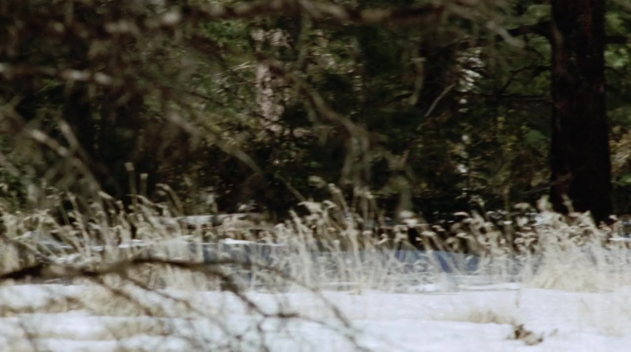 The Missing screenshot 3