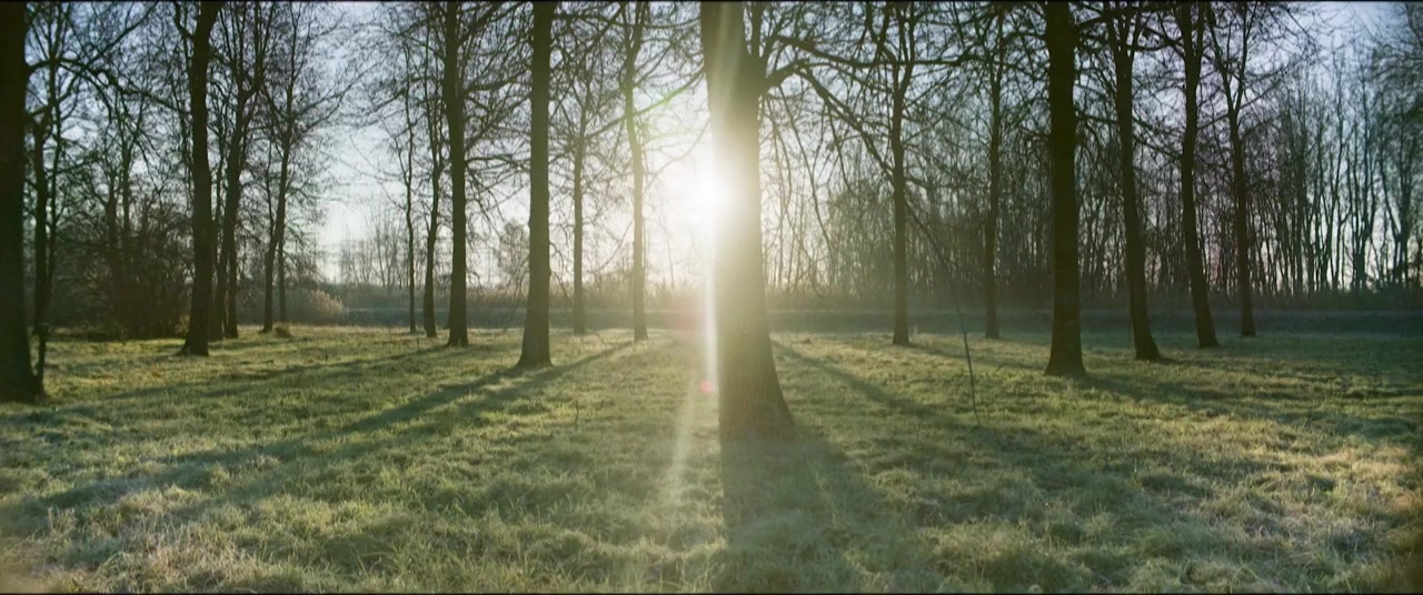 Le miroir screenshot 1