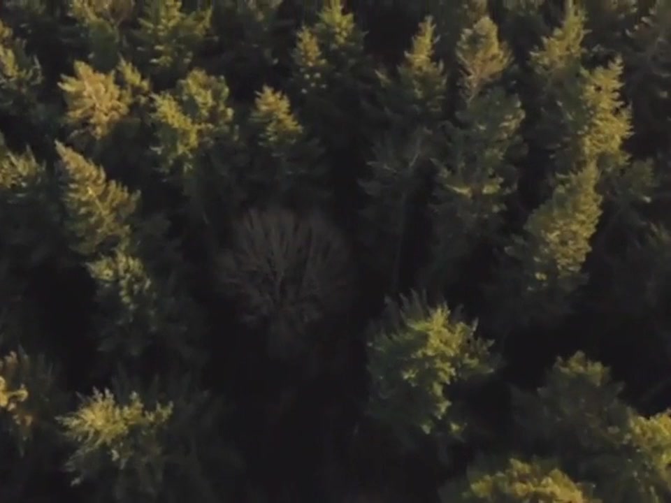 The Mitchin Murders screenshot 3