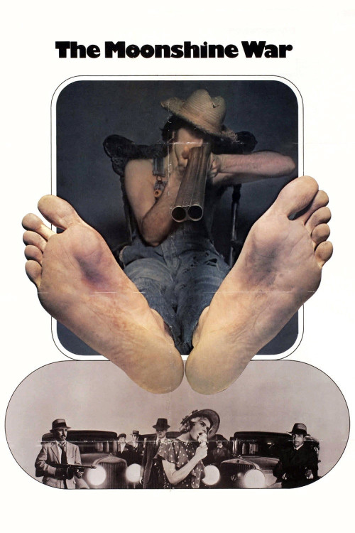 The Moonshine War (1970) poster