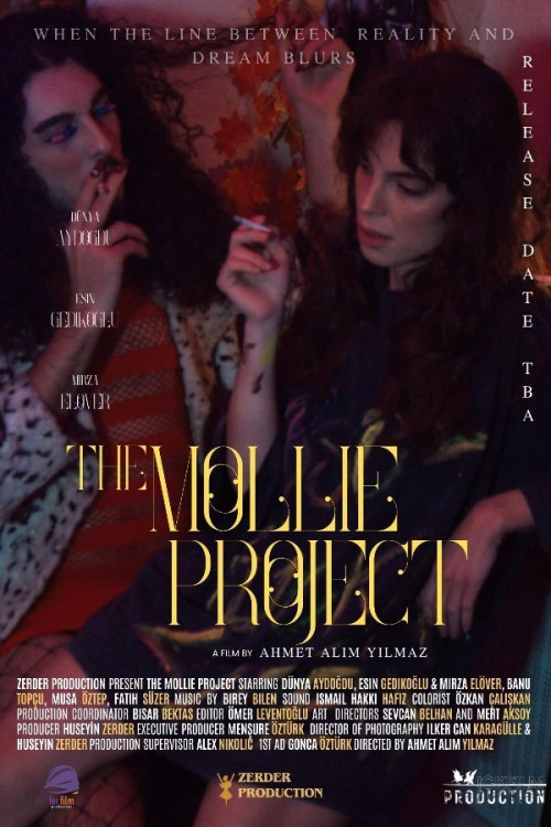 The Mollie Project (2024) poster