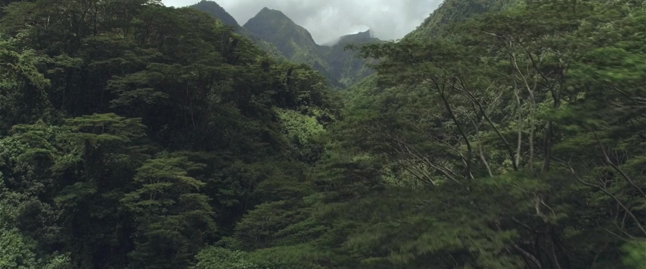 Adjø Montebello screenshot 1