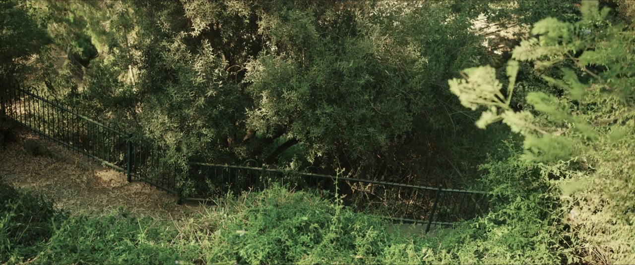 The Monkey House screenshot 1