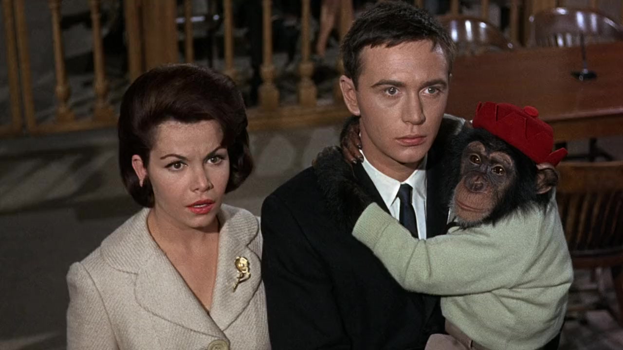 The Monkey's Uncle screenshot 3