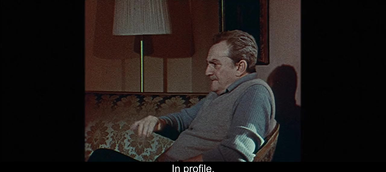 Världens vackraste pojke screenshot 3