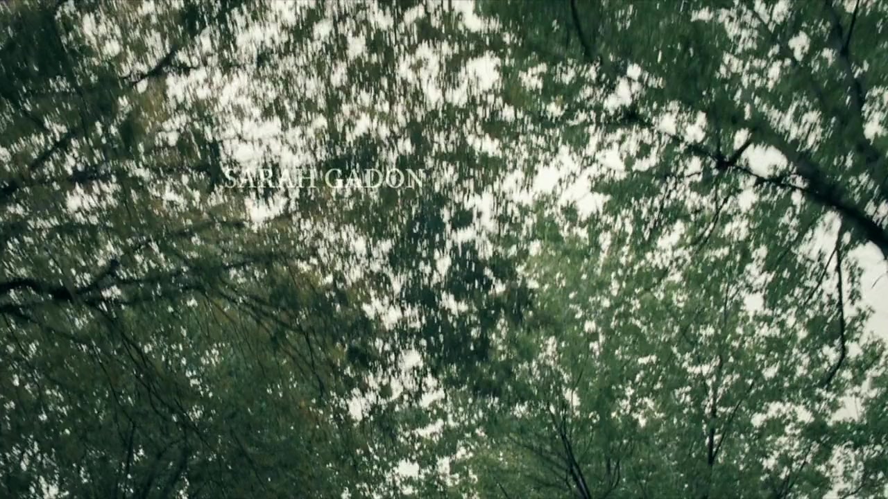 The Moth Diaries screenshot 1