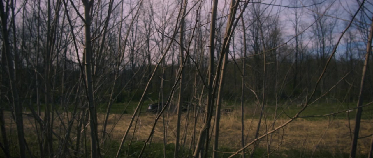 The Mothman Legacy screenshot 2