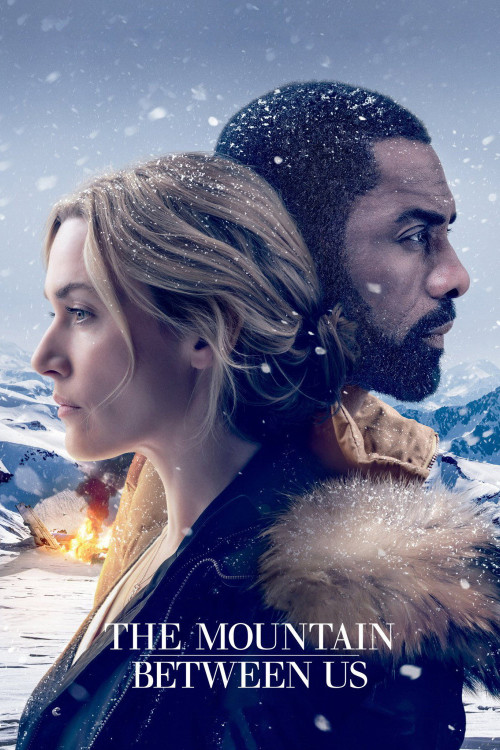 The Mountain Between Us (2017) poster