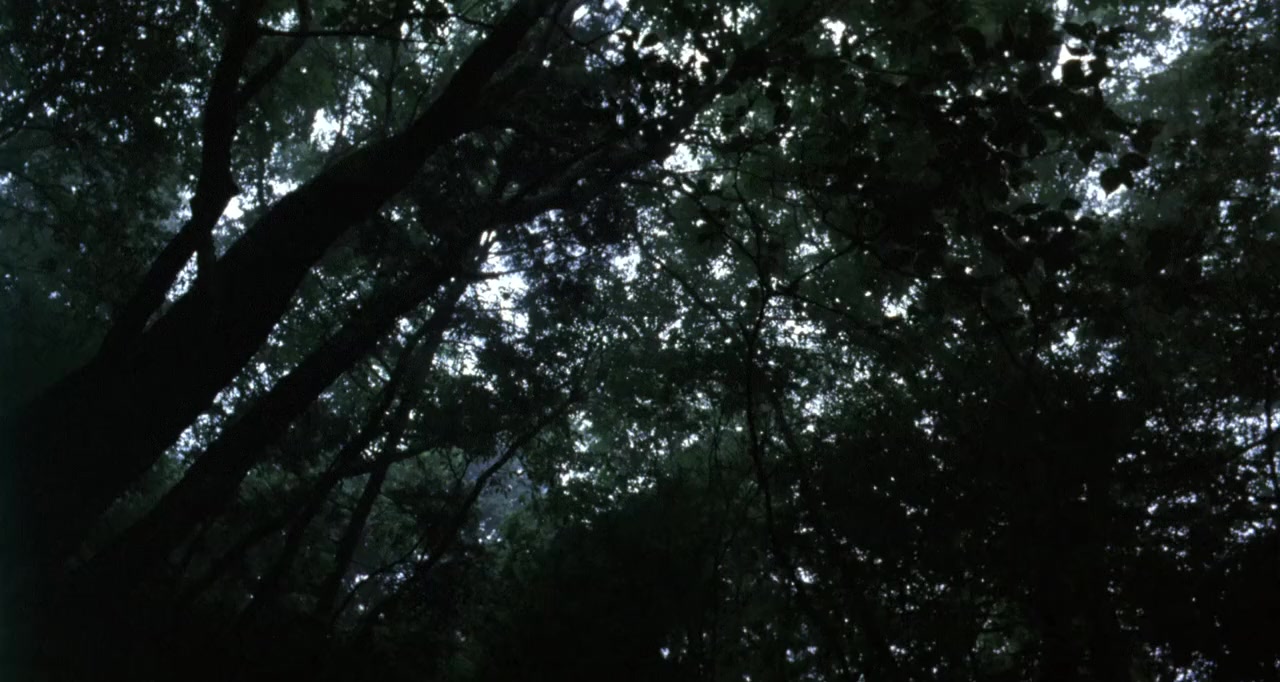 Mogari no mori screenshot 3