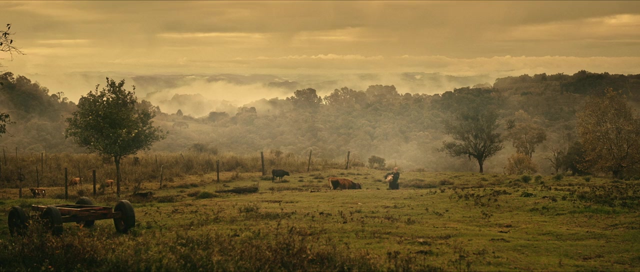 O Filme da Minha Vida screenshot 2