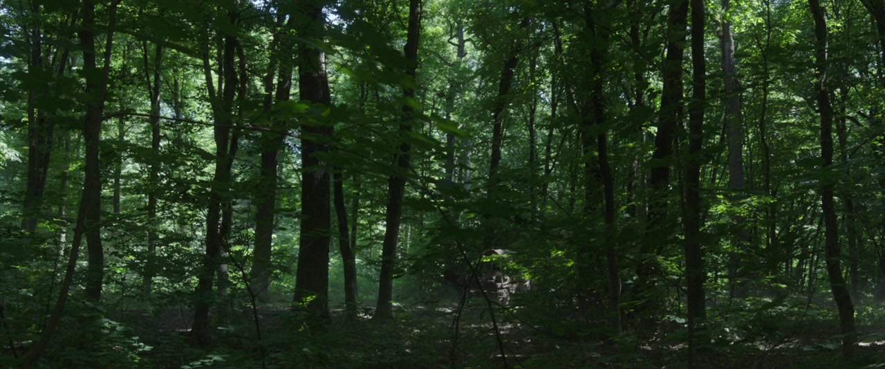 The Nun screenshot 2