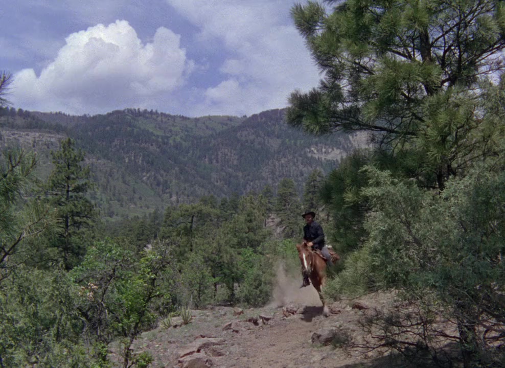The Naked Spur screenshot 3