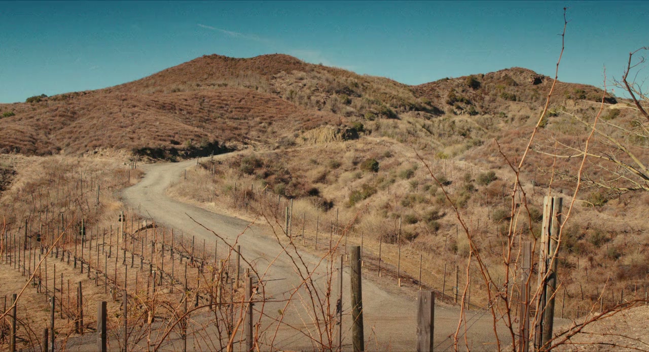 The Napa Boys screenshot 1