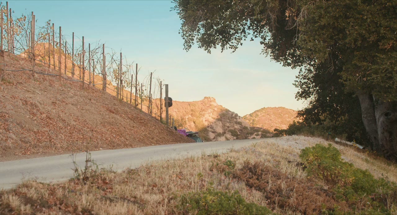 The Napa Boys screenshot 2