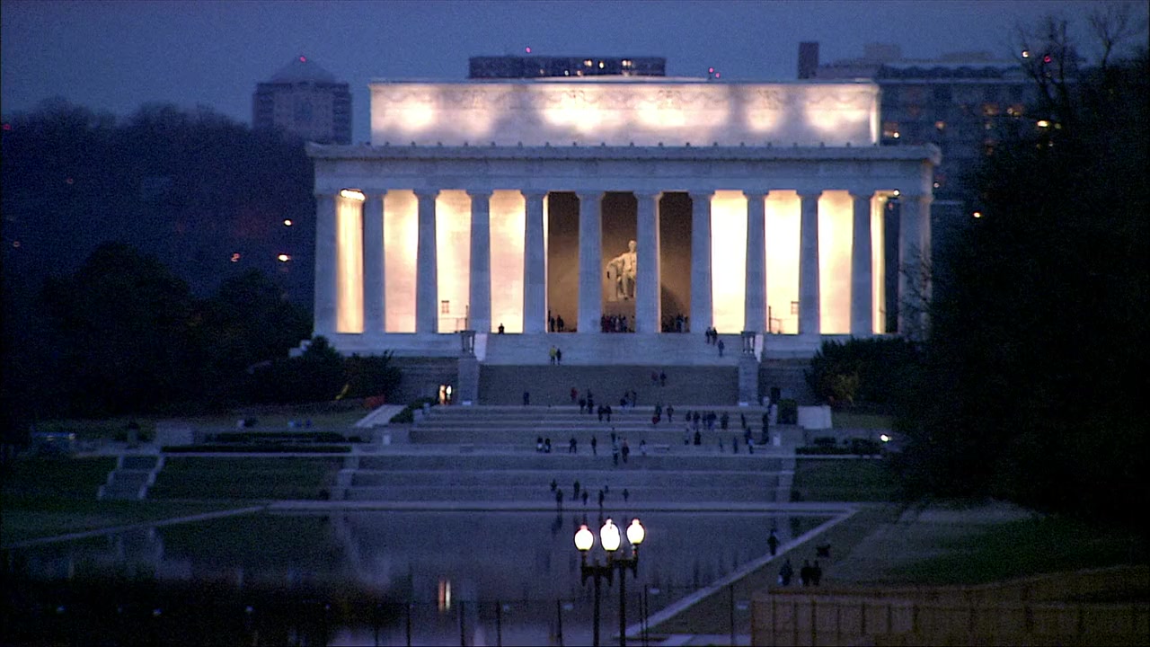 The National Tree screenshot 2
