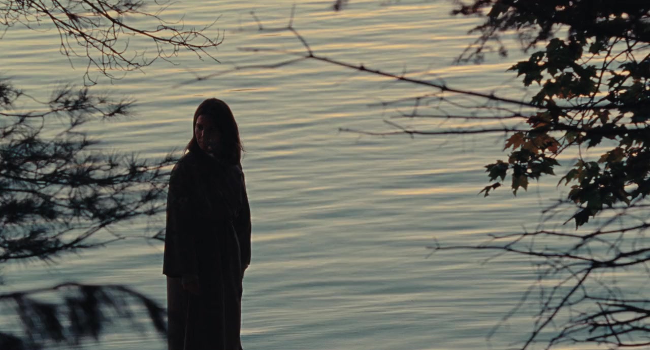 Simple comme Sylvain screenshot 1