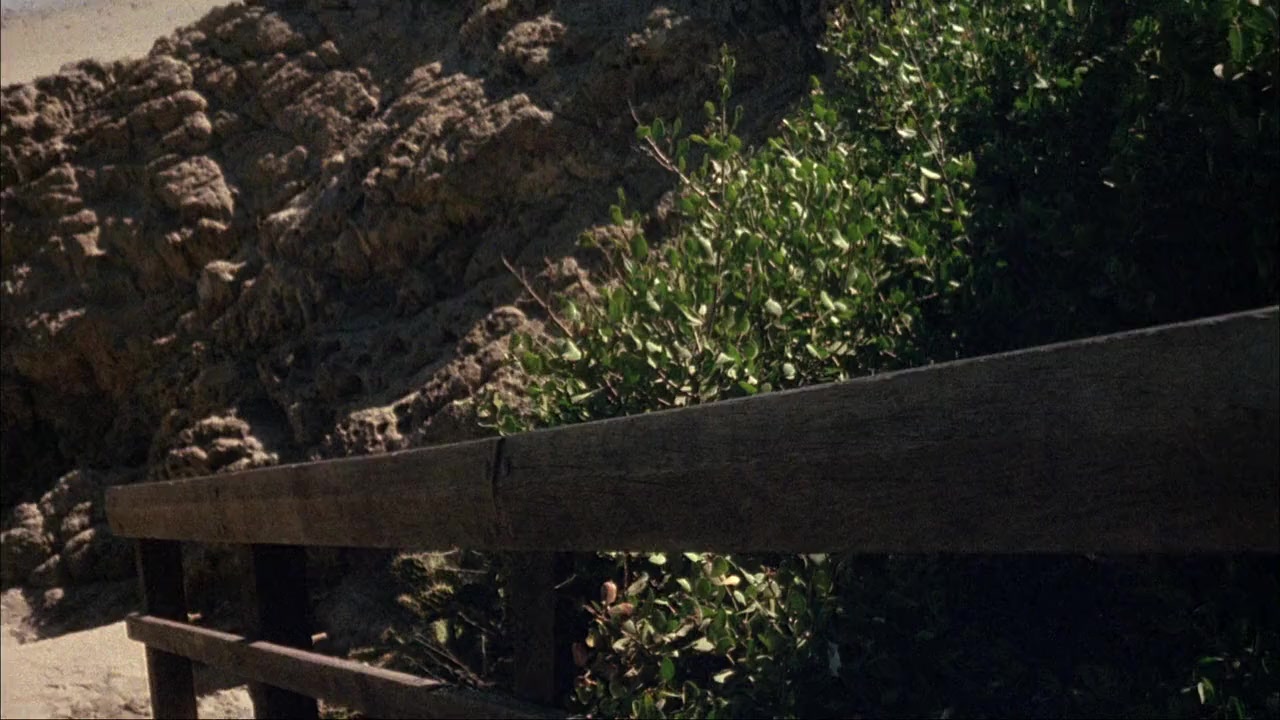 The Nest screenshot 1