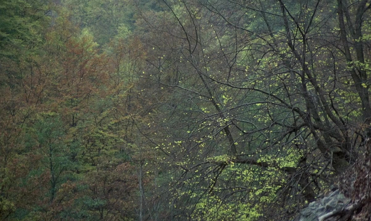 Nybyggarna screenshot 1