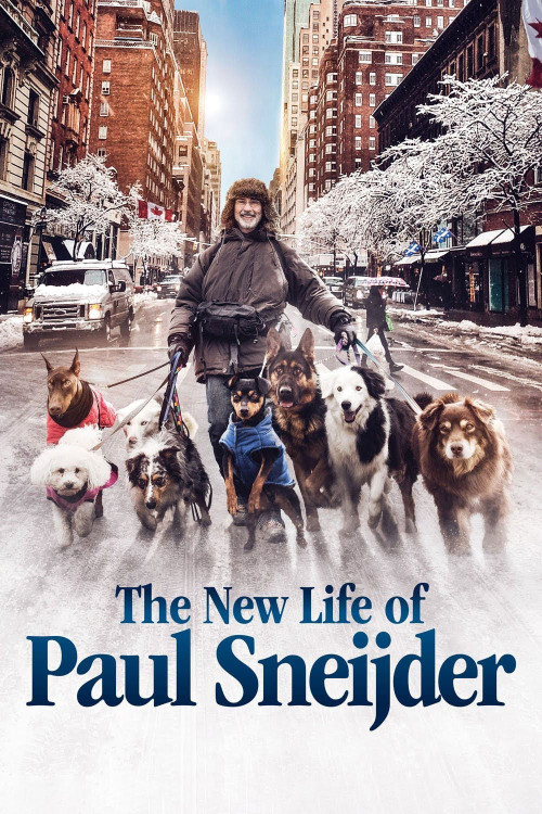 La nouvelle vie de Paul Sneijder (2016) poster