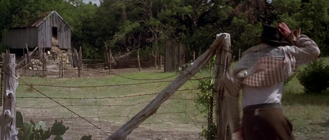 The Newton Boys screenshot 1