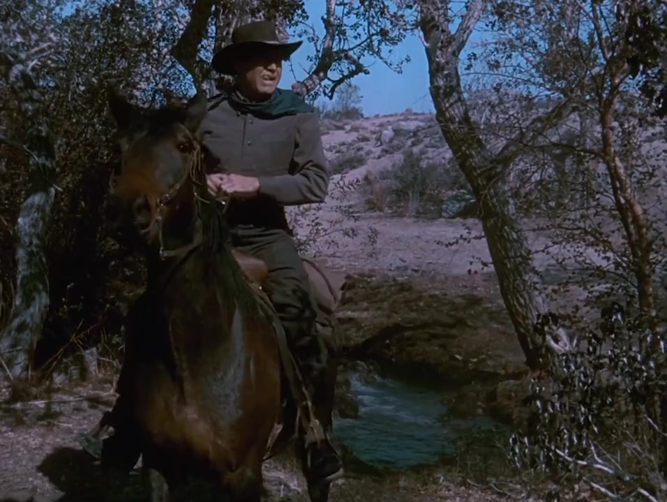 The Nevadan screenshot 1