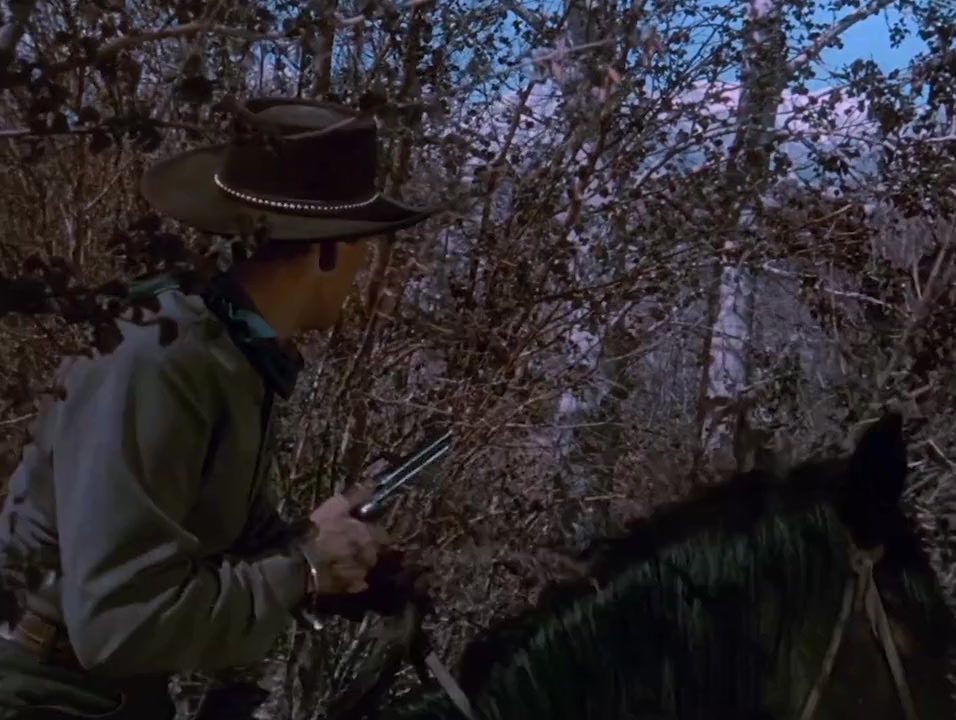 The Nevadan screenshot 2
