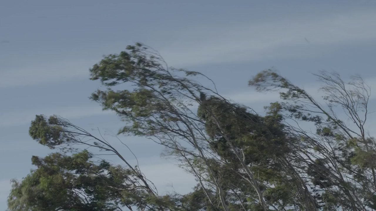 La propera pell screenshot 1