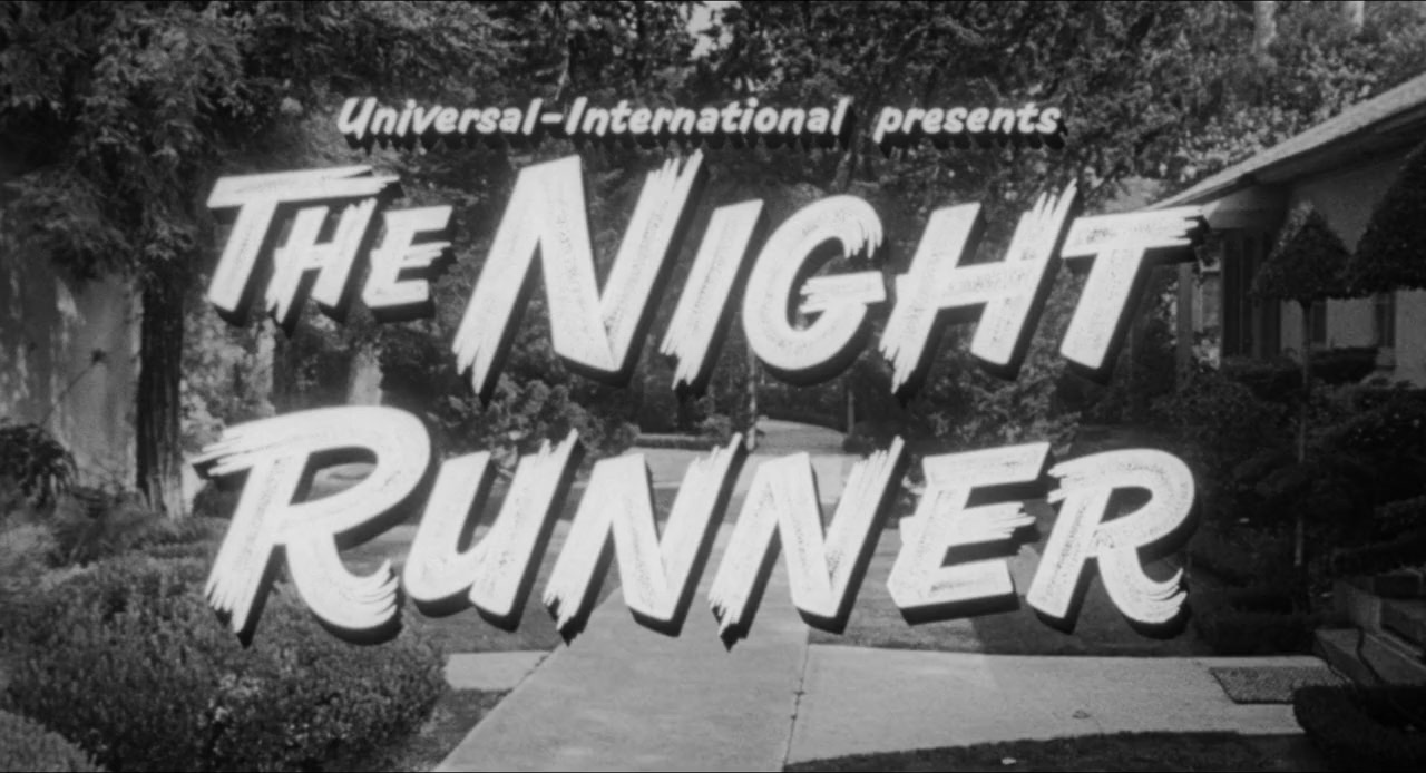 The Night Runner screenshot 2