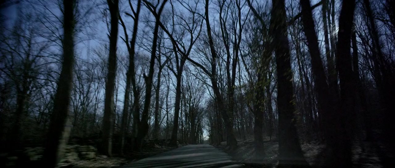 The Night Sitter screenshot 1