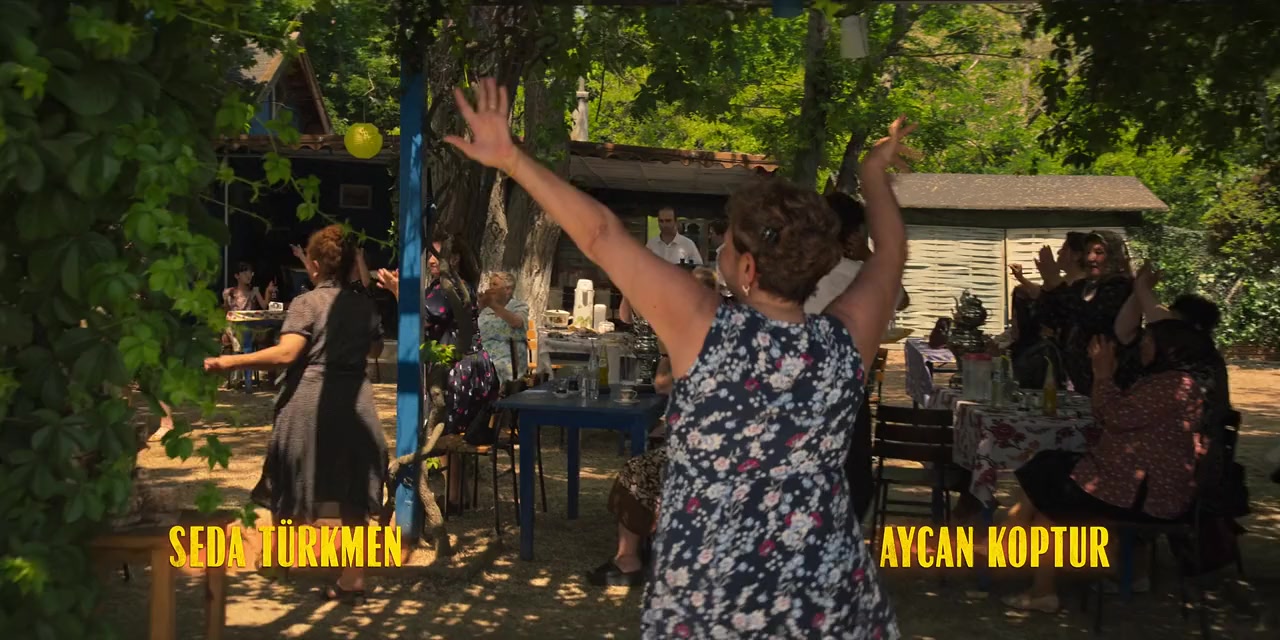 Bursa Bülbülü screenshot 1